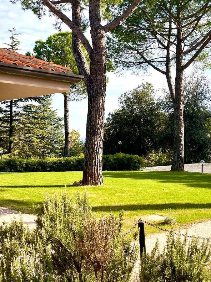 Nuances Del Conero Relais Bed and Breakfast Castelfidardo Εξωτερικό φωτογραφία